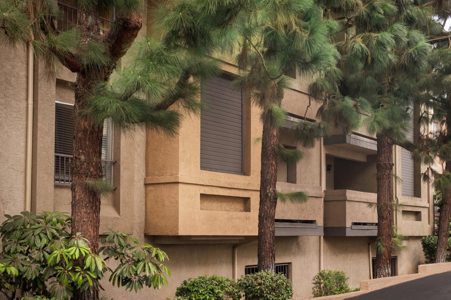 Elan View Pointe Apartments Image 15
