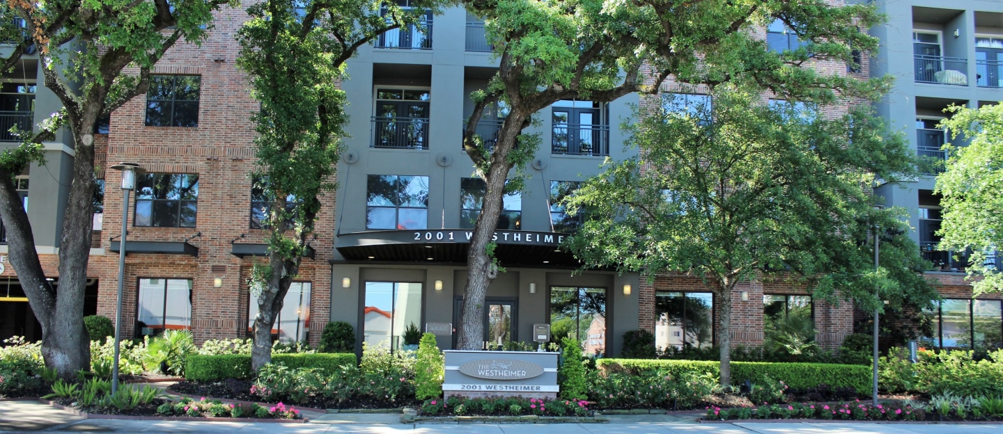 The Westheimer Image 1