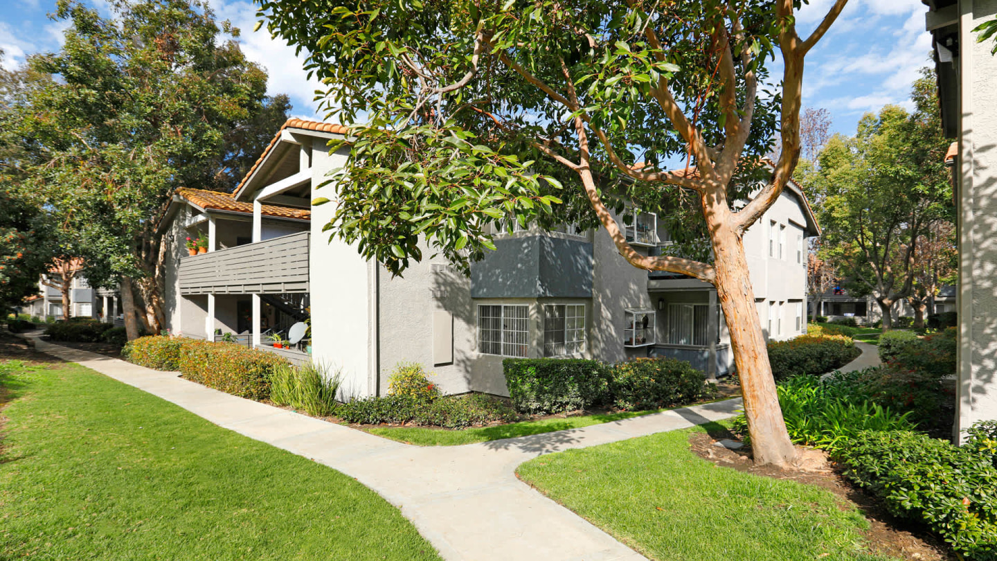 Windridge Image 2