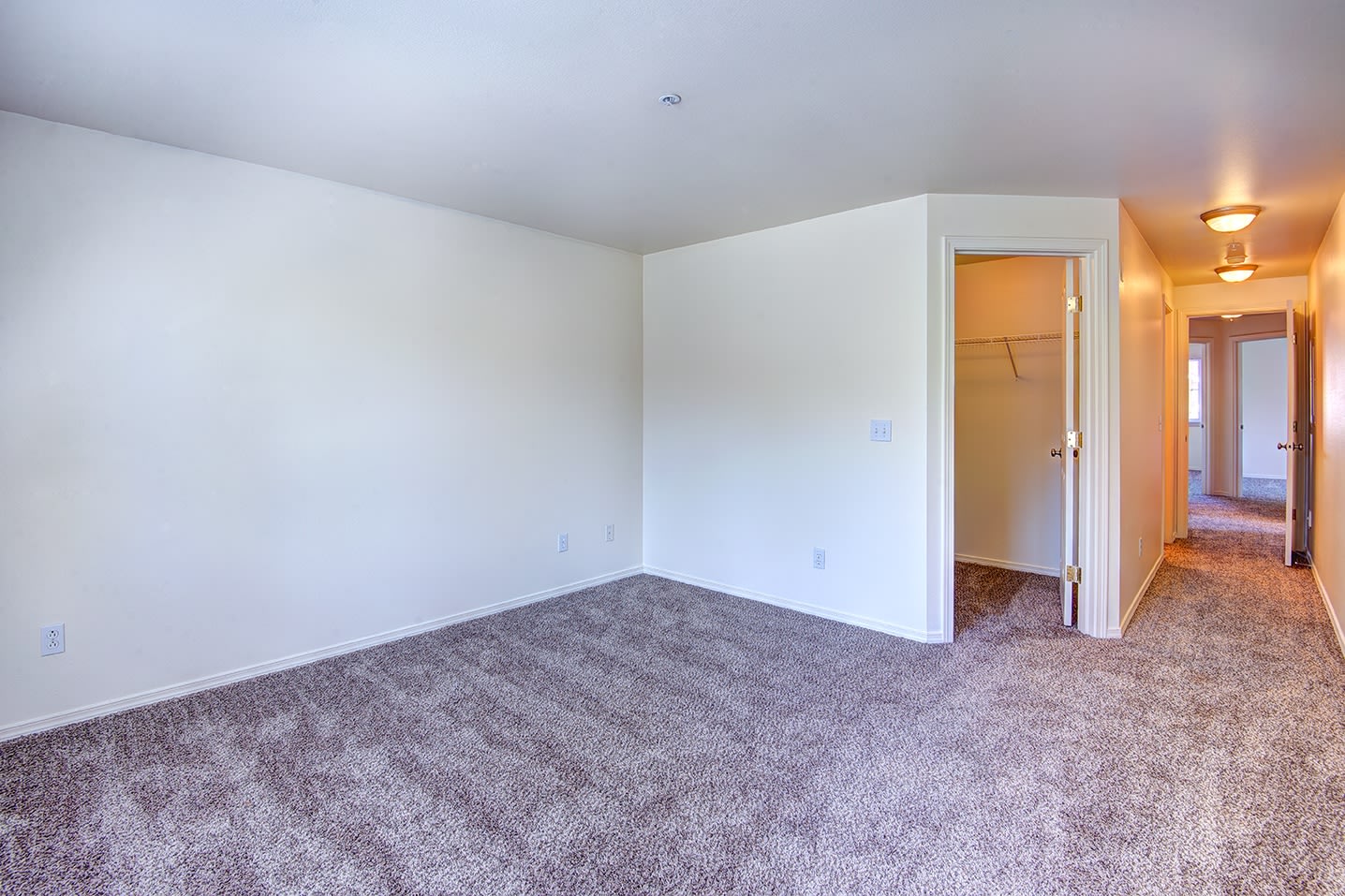 Langara Image 12