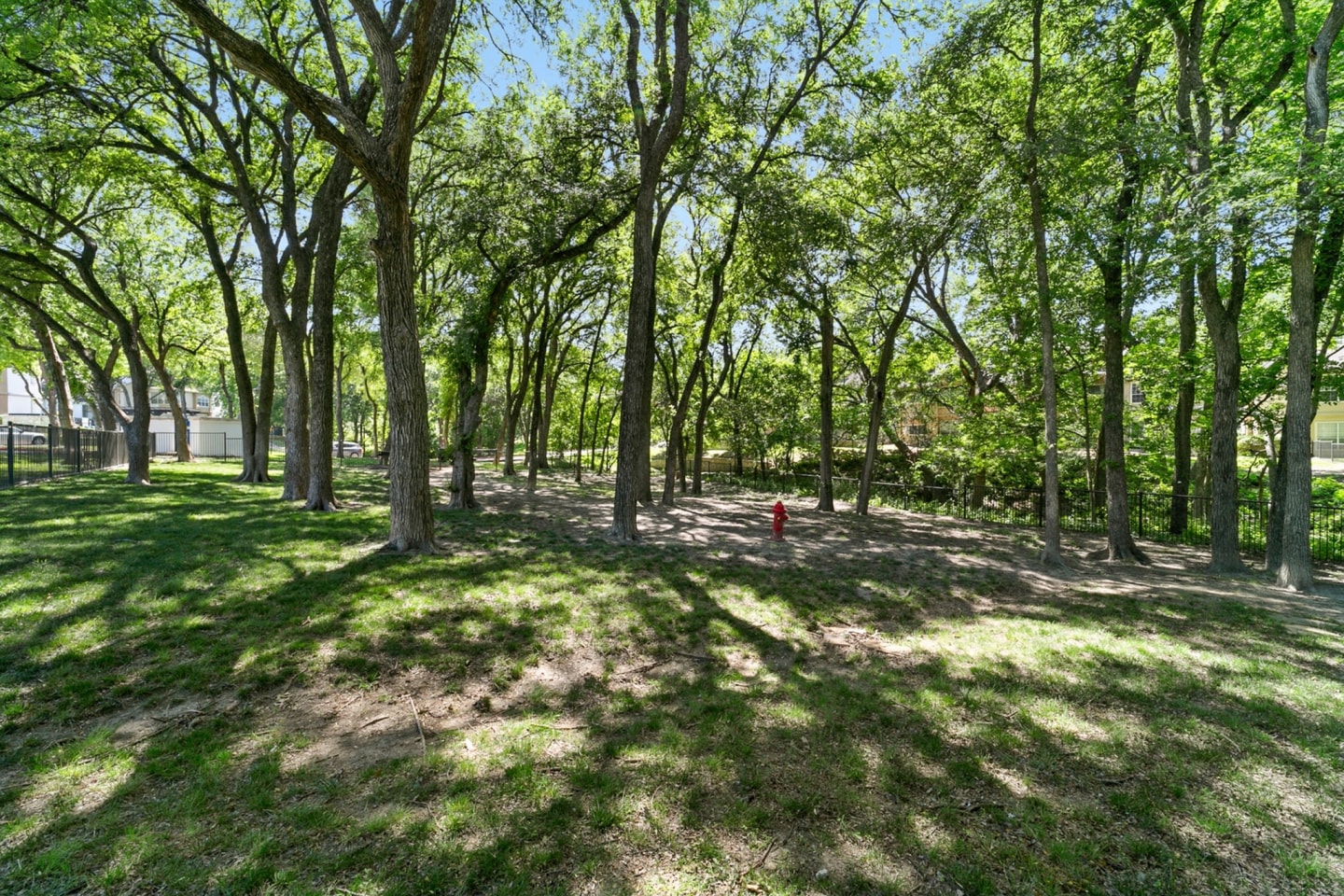 Avalon at Chase Oaks Image 13