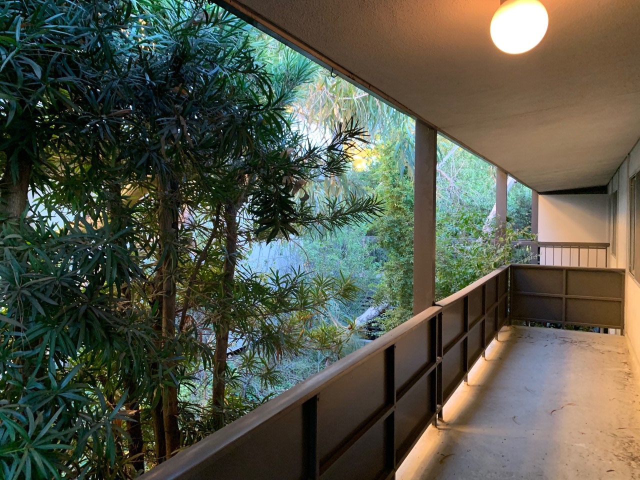Annandale Terrace Image 24