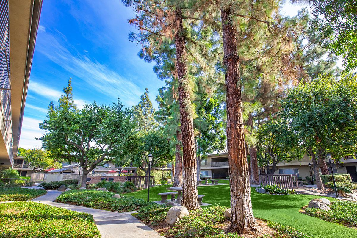Saddleback Pines Image 9