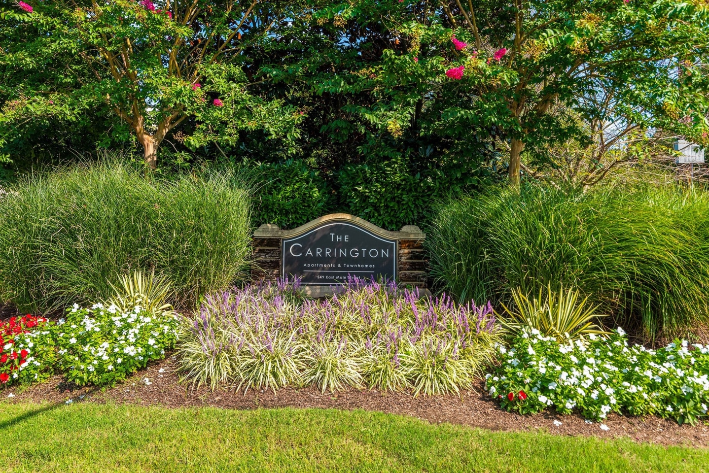 The Carrington Image 1