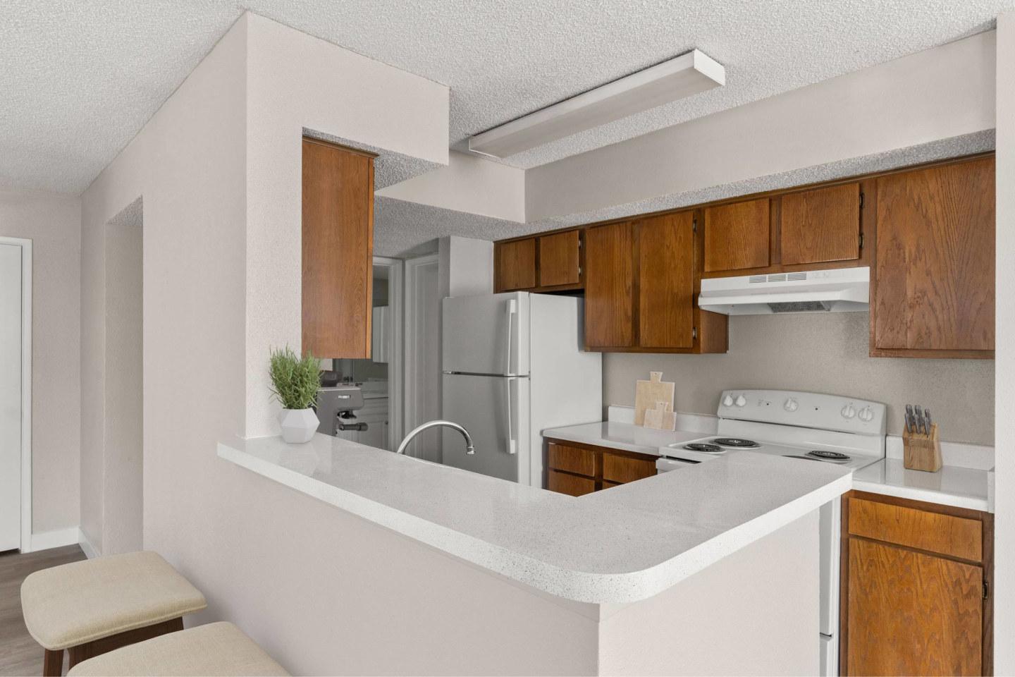 Cielo on Gilbert Image 19