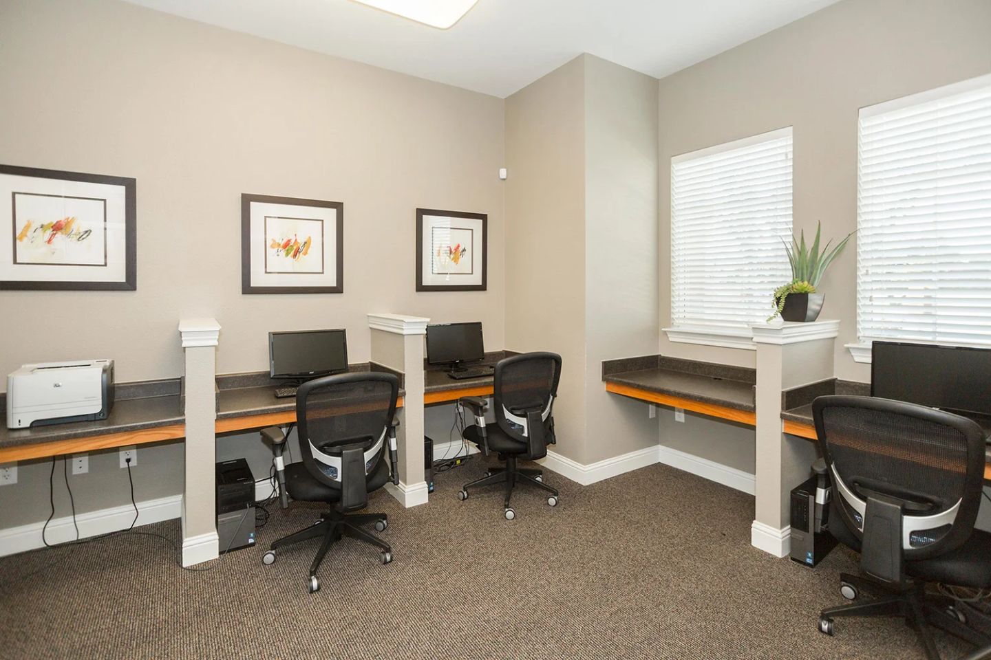 Point Royale Image 12
