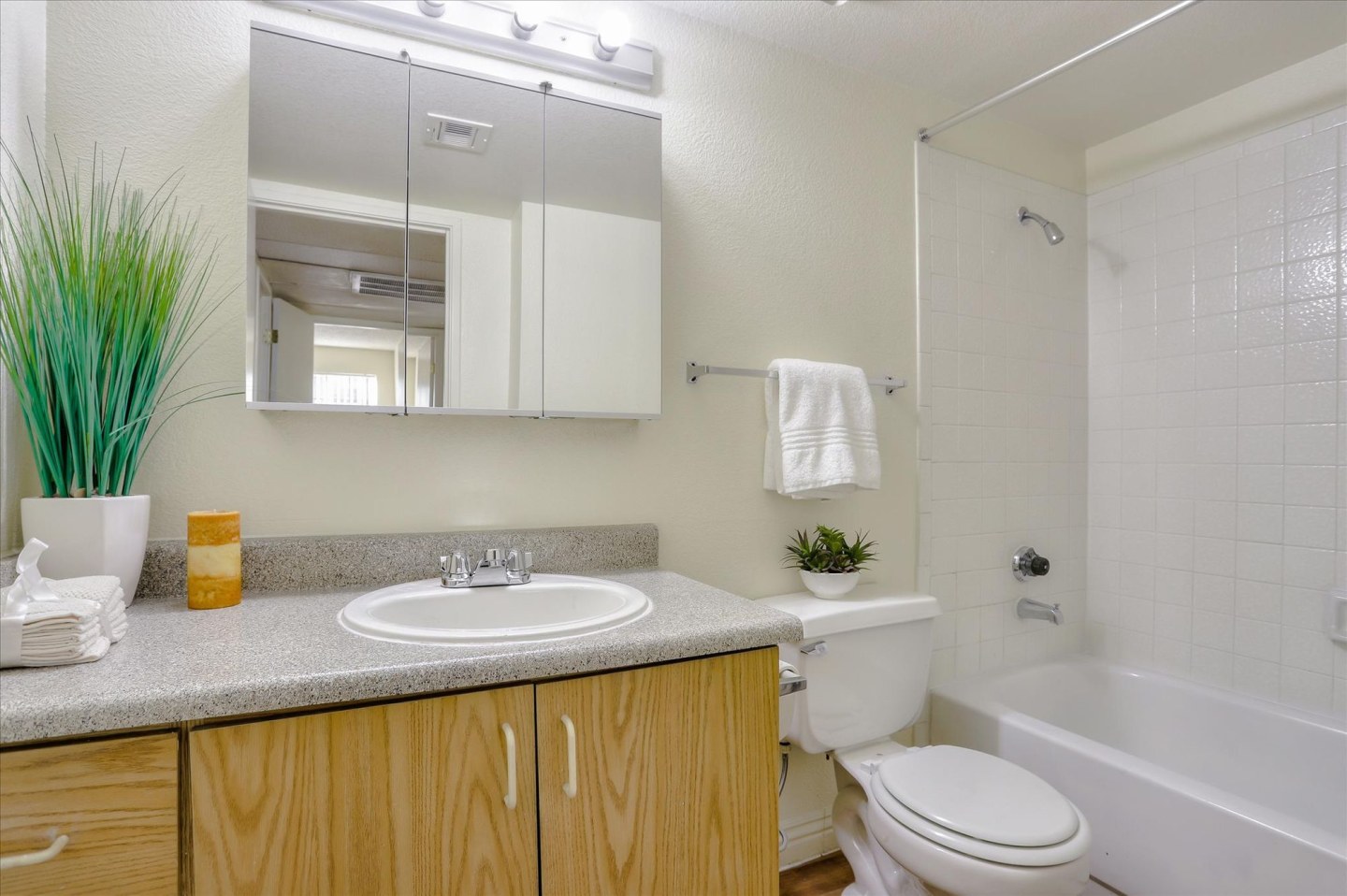 Summer Entrada Apartments Image 13
