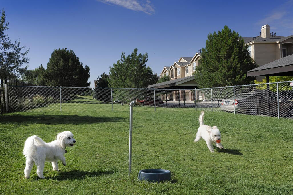 Lowry Park Image 25