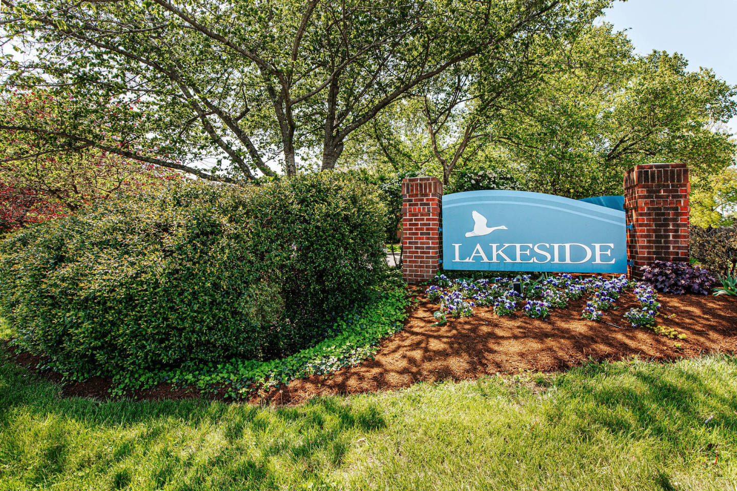 Lakeside Image 9