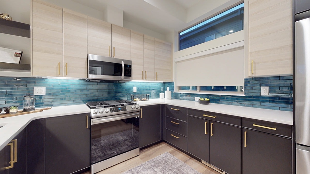 Delaware Street Townhomes Image 3