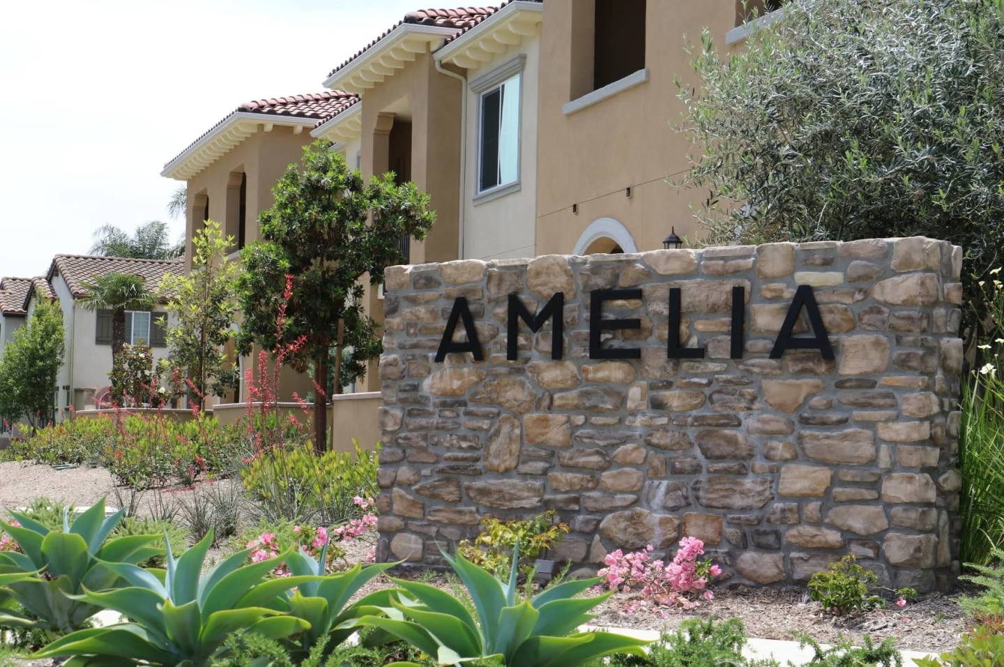 Amelia Image 25