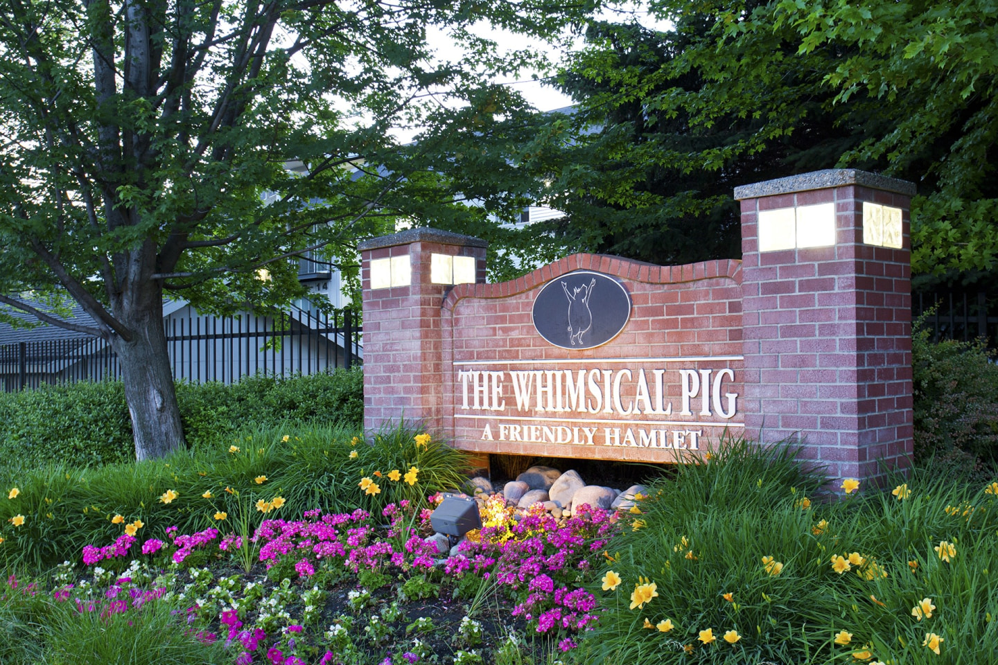 Whimsical Pig Image 21