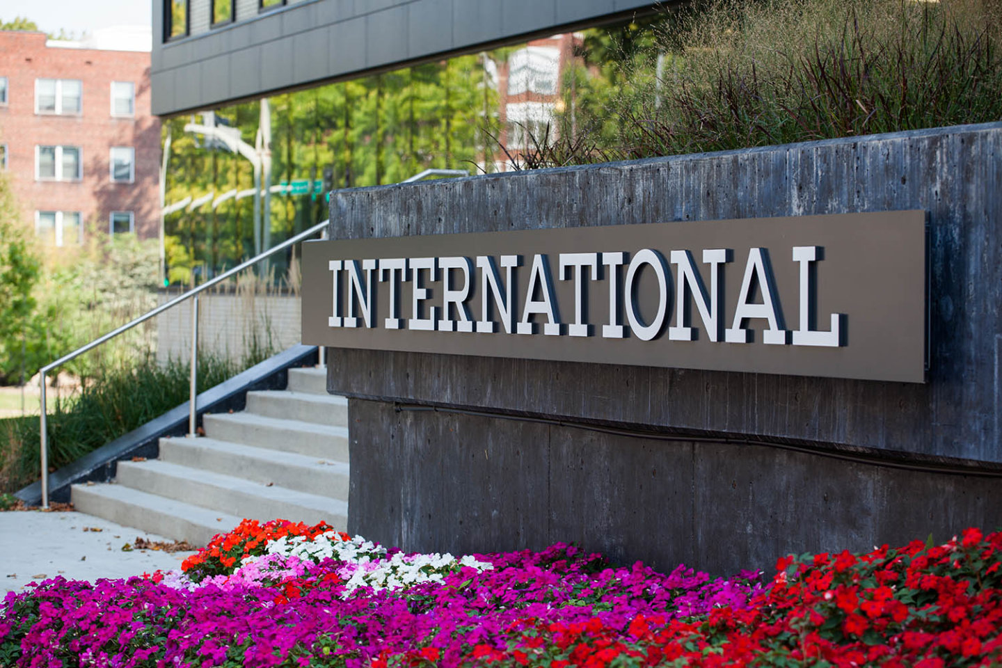 International Image 17