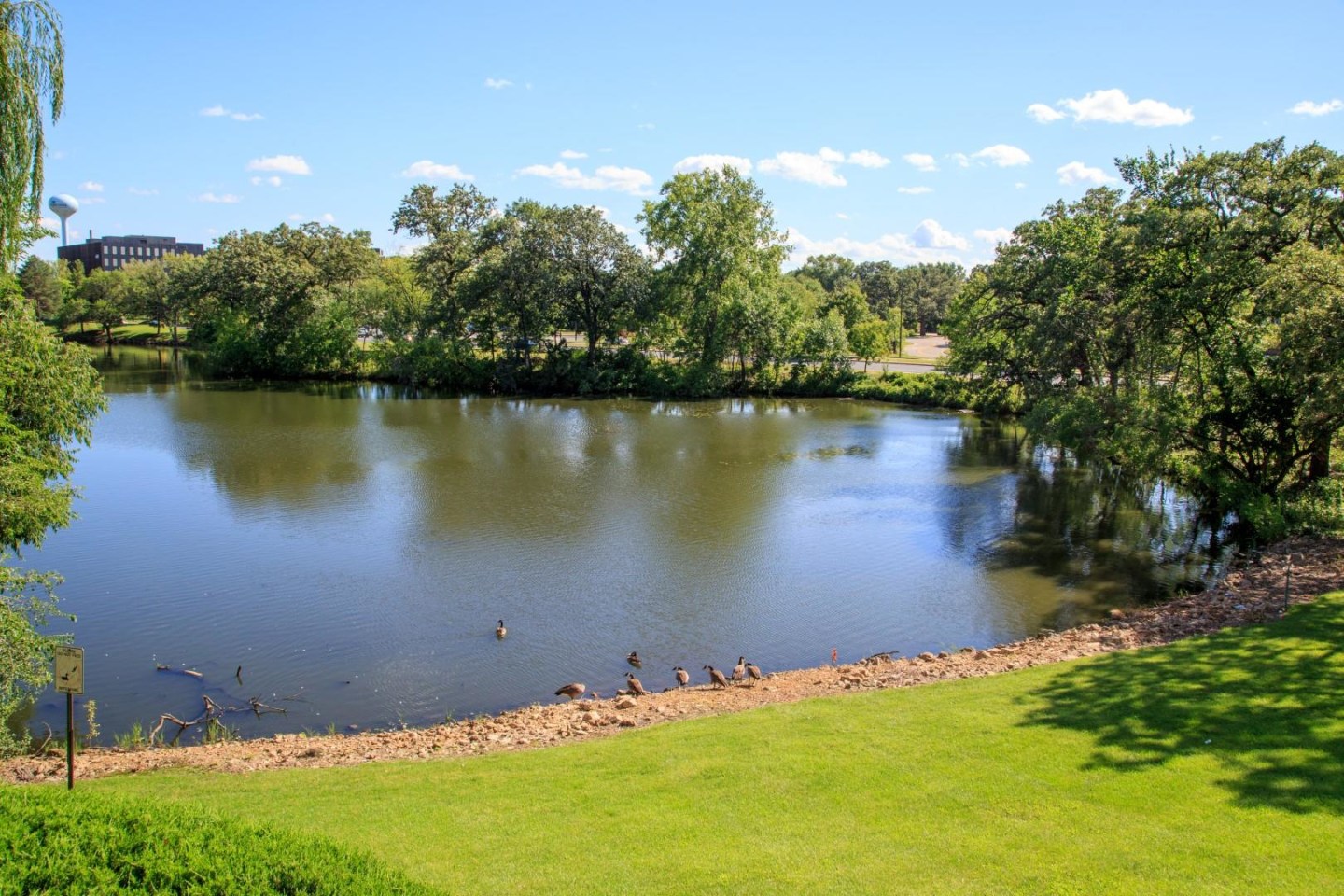 Cornelia Place Image 47
