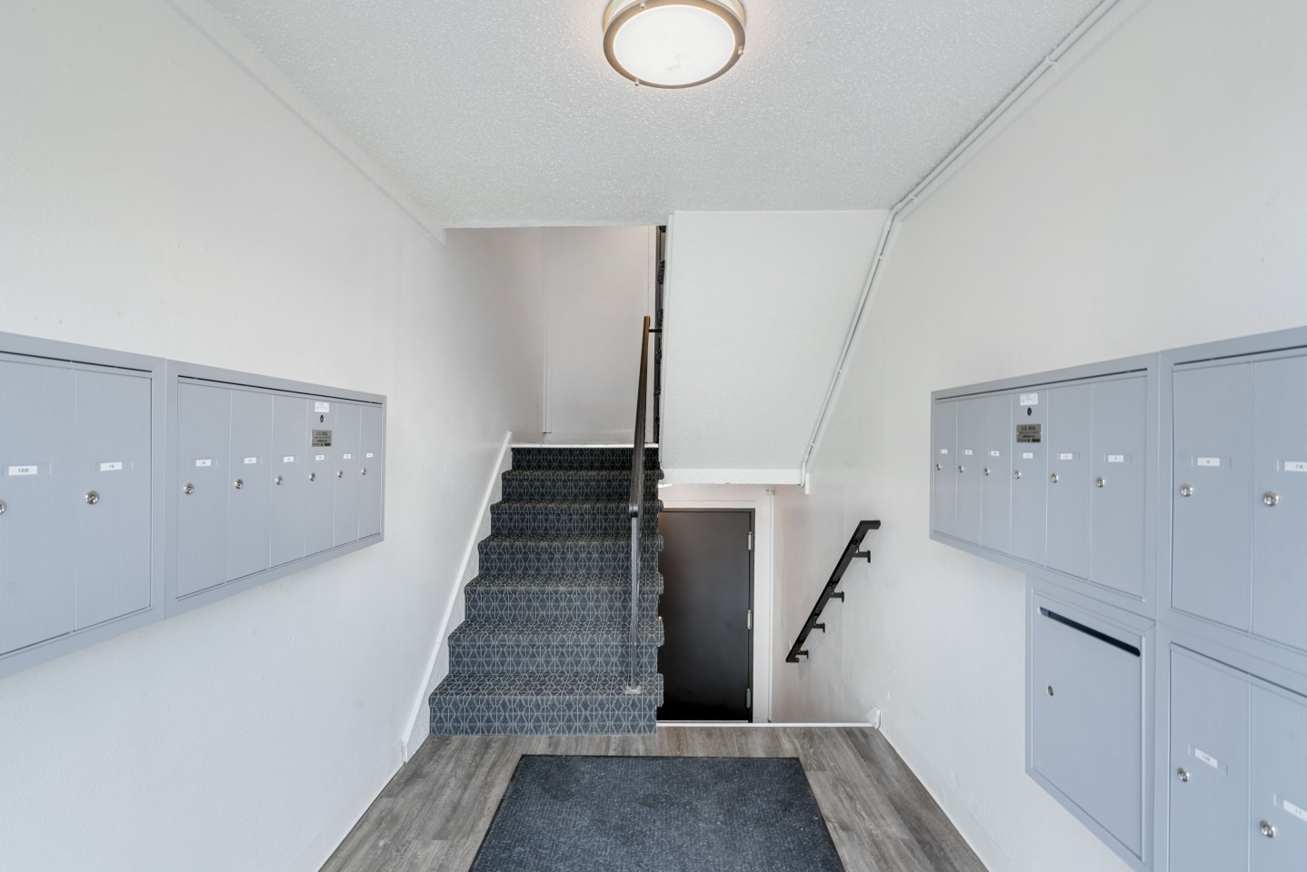 White Pine Image 27
