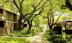 Shasta Terrace Image 3