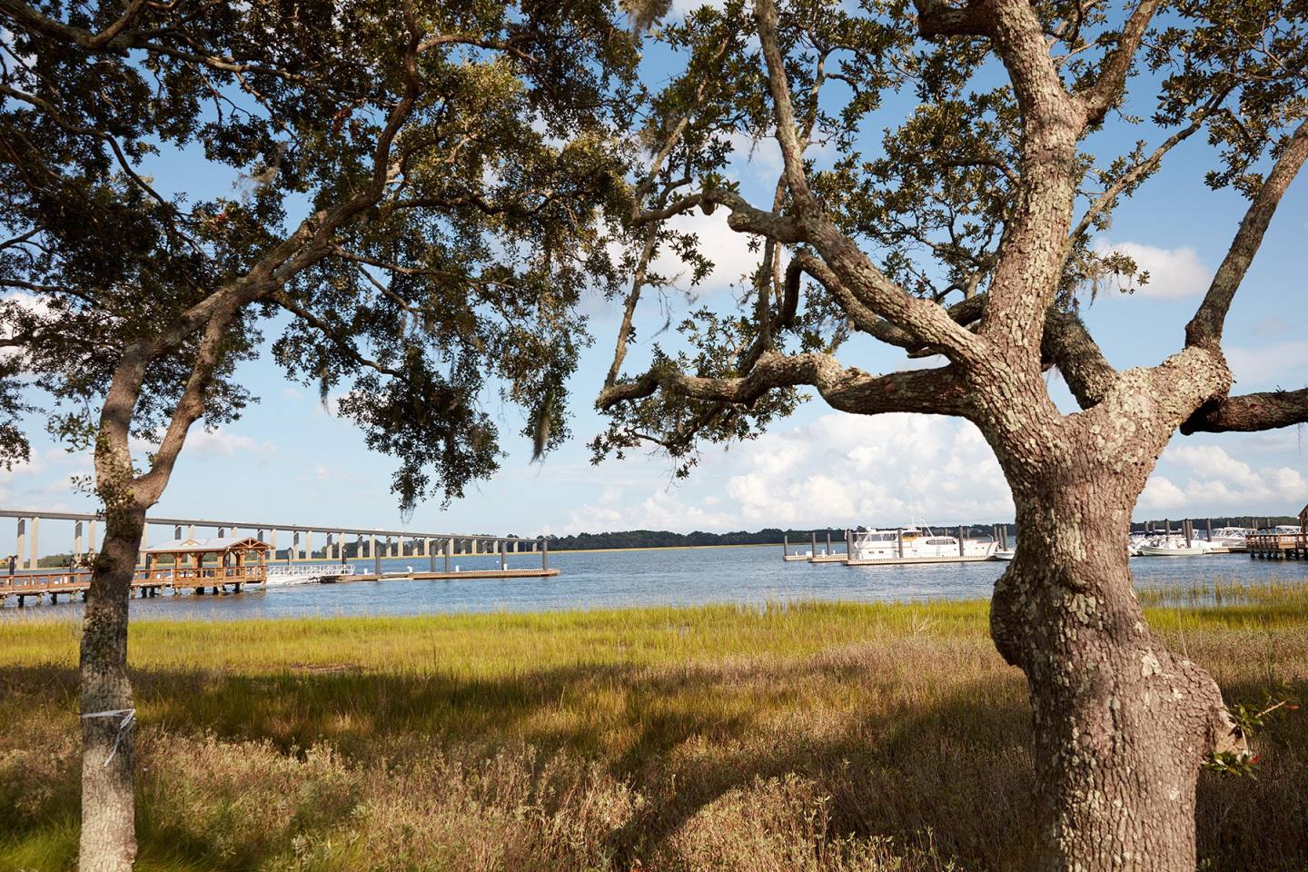 The Henslow Daniel Island Apartments & Townhomes Image 4