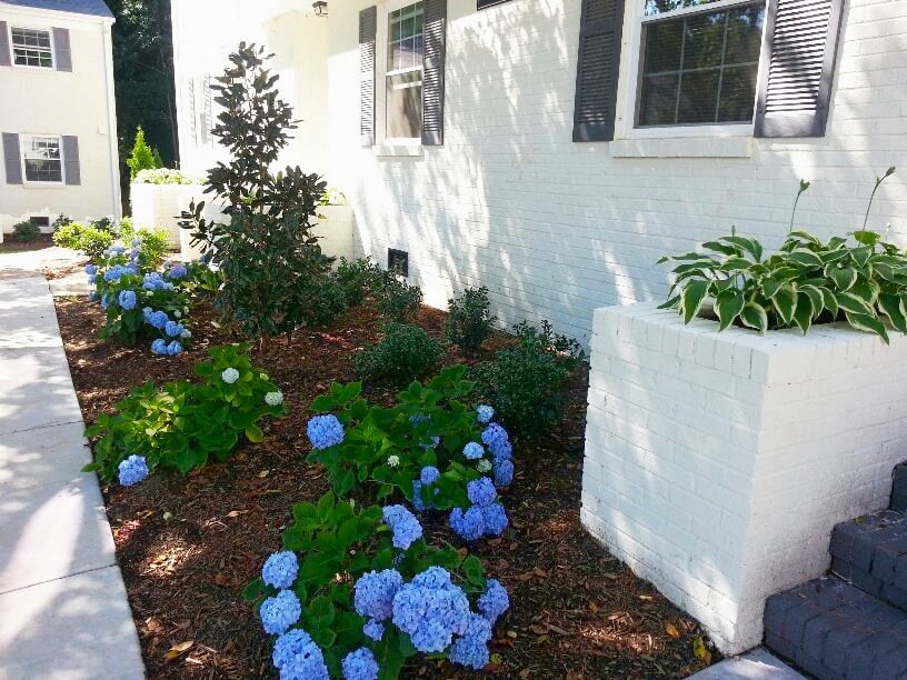 Midtown Park Image 10