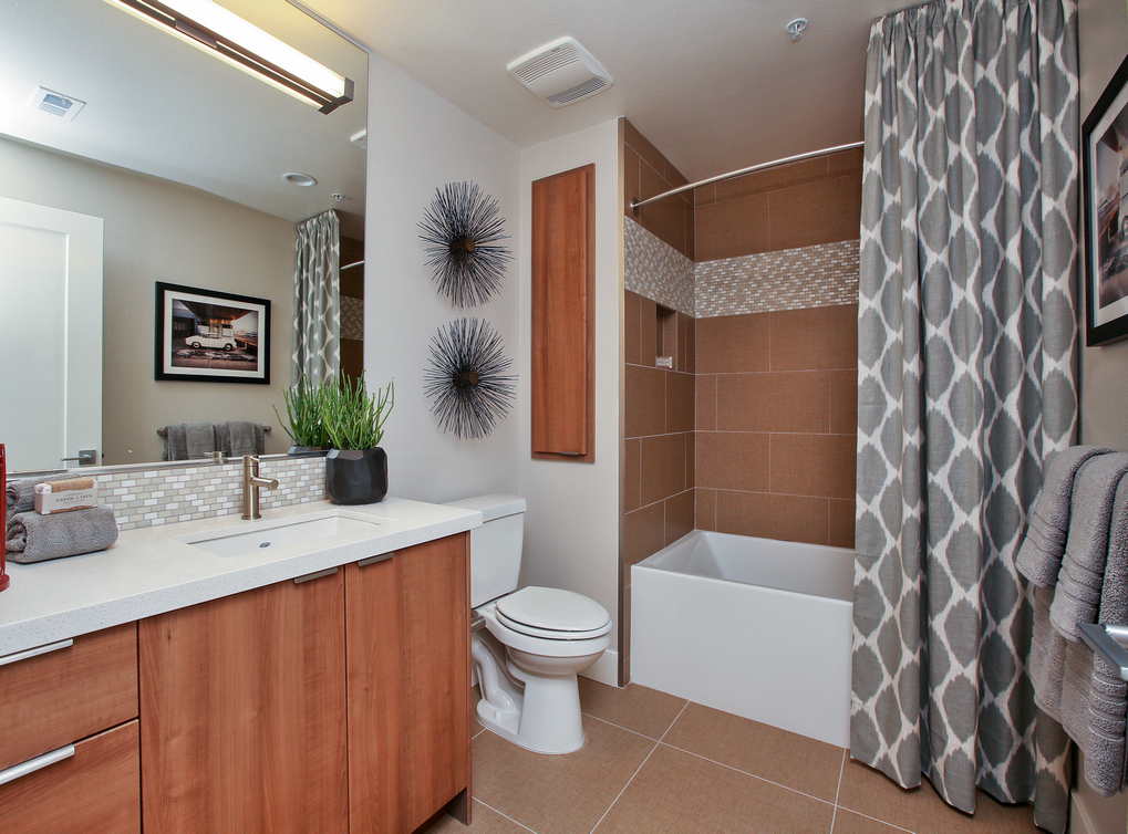 AMLI Uptown Orange Image 33