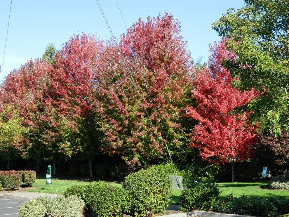 Springwater Trail Image 2