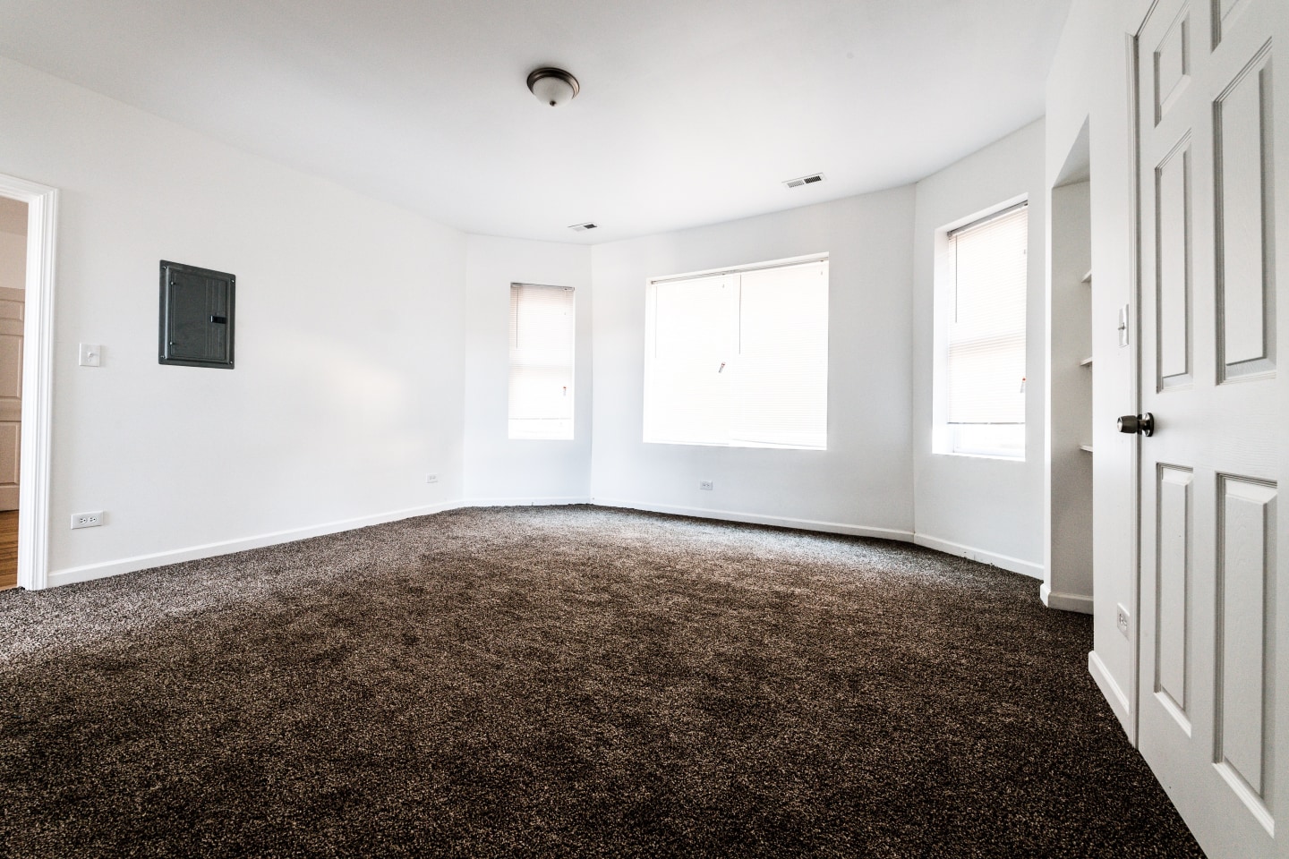 1145 N Austin Blvd Image 8