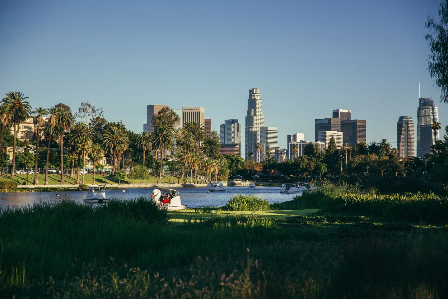 Silva Los Angeles Image 1