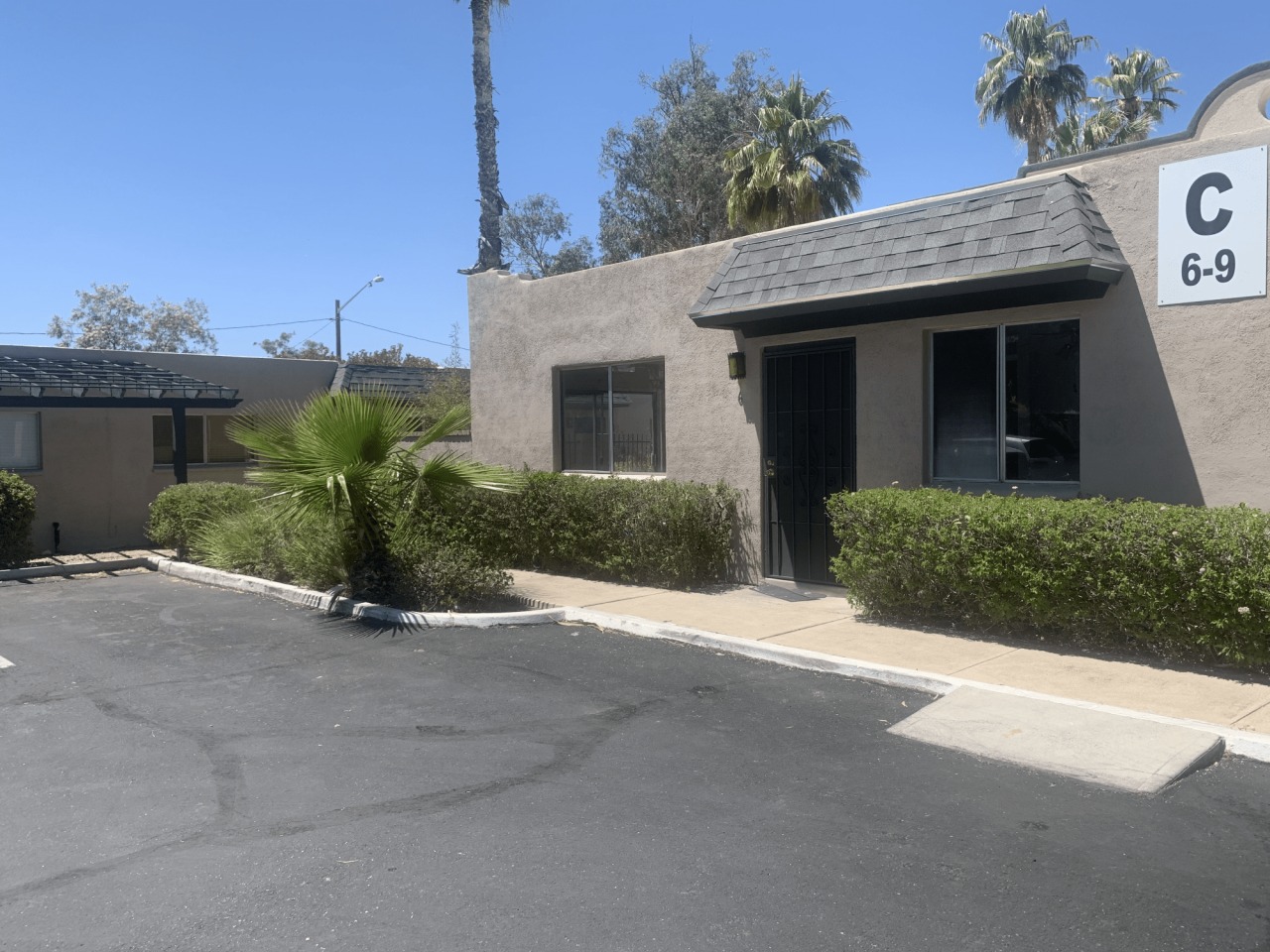 Palm Garden Image 4