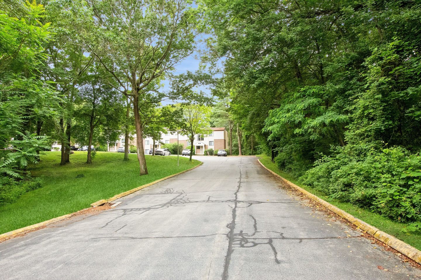 ReNew Washington Park Image 20