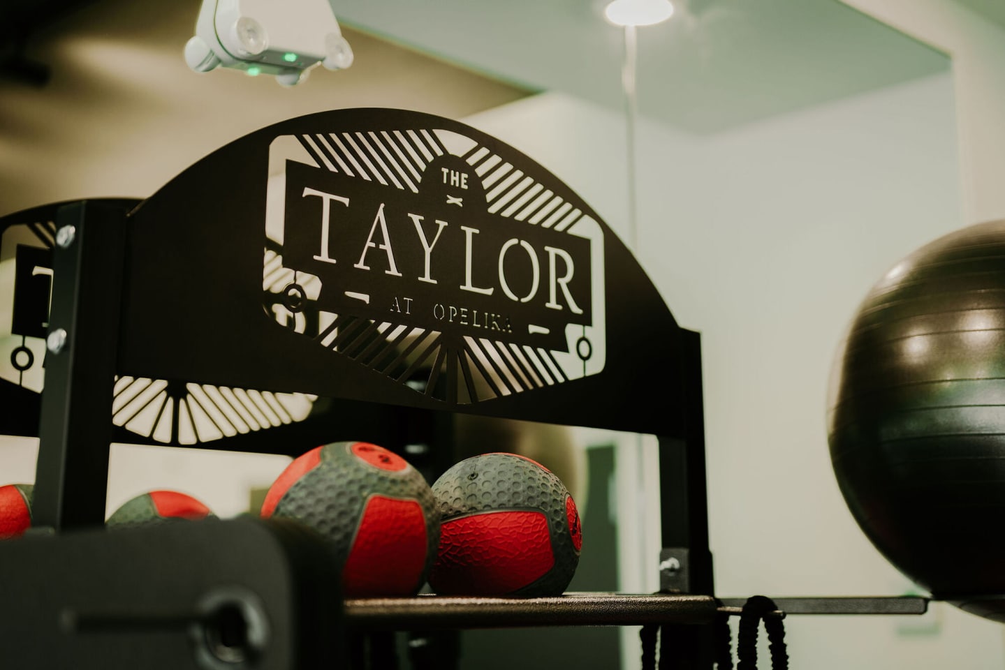 The Taylor Image 31