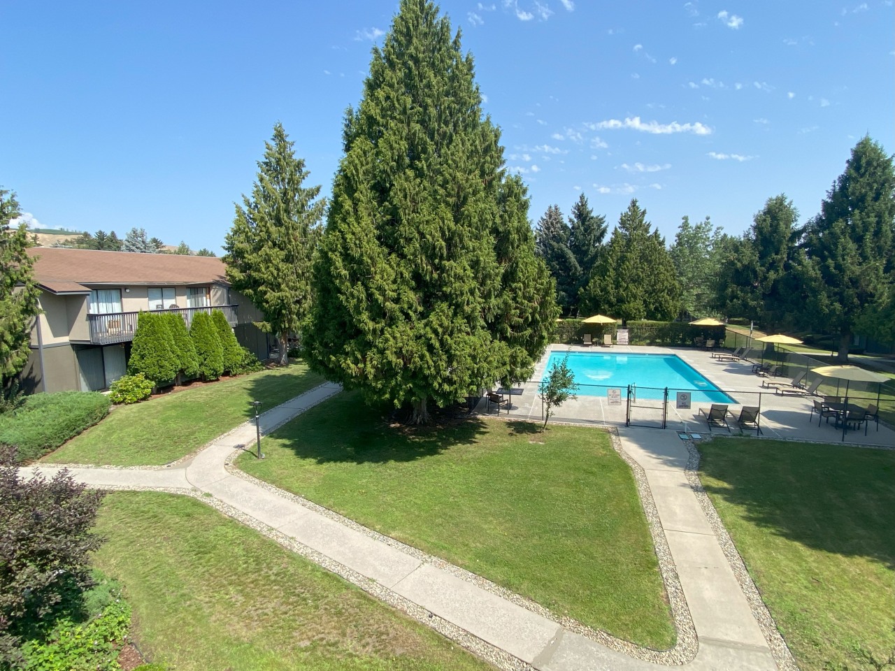 Cedarwood Image 29