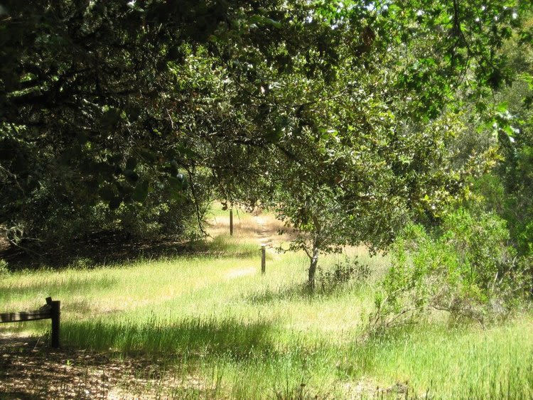 Sharon Green Image 26