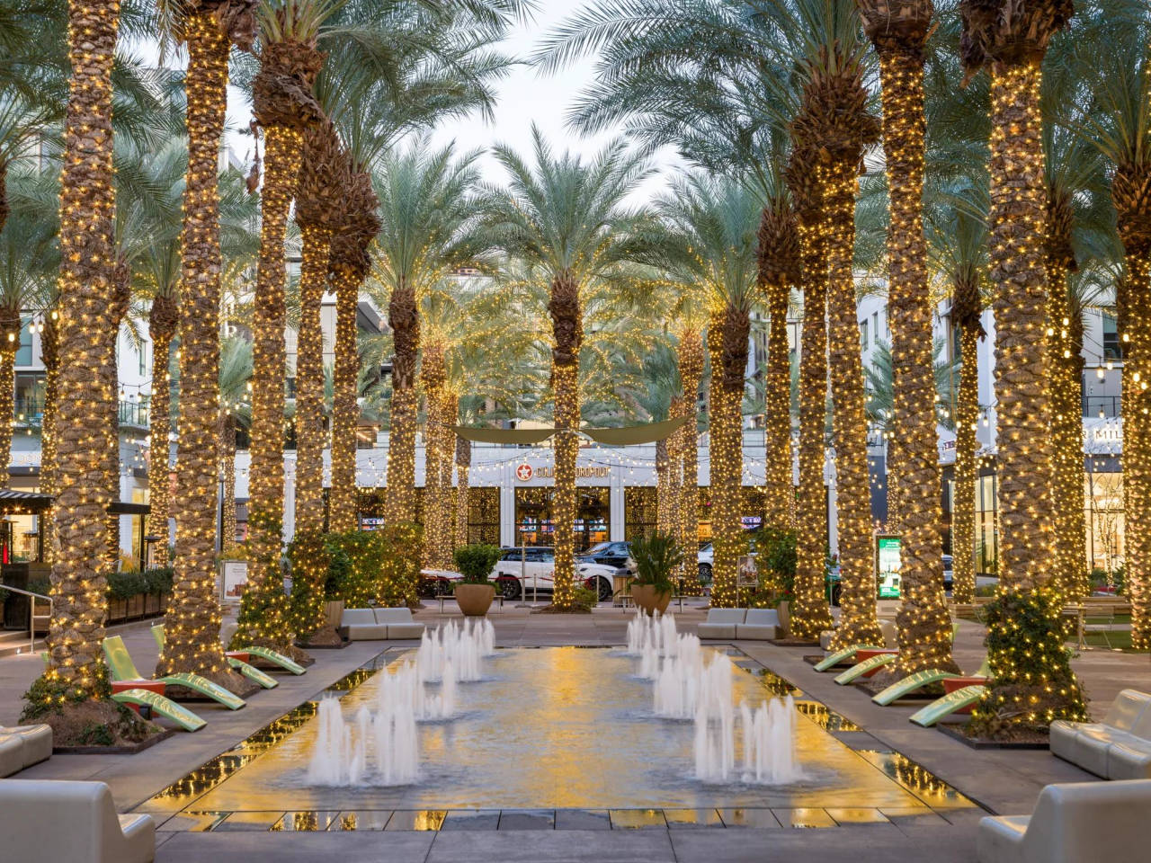 Modera Scottsdale Image 16