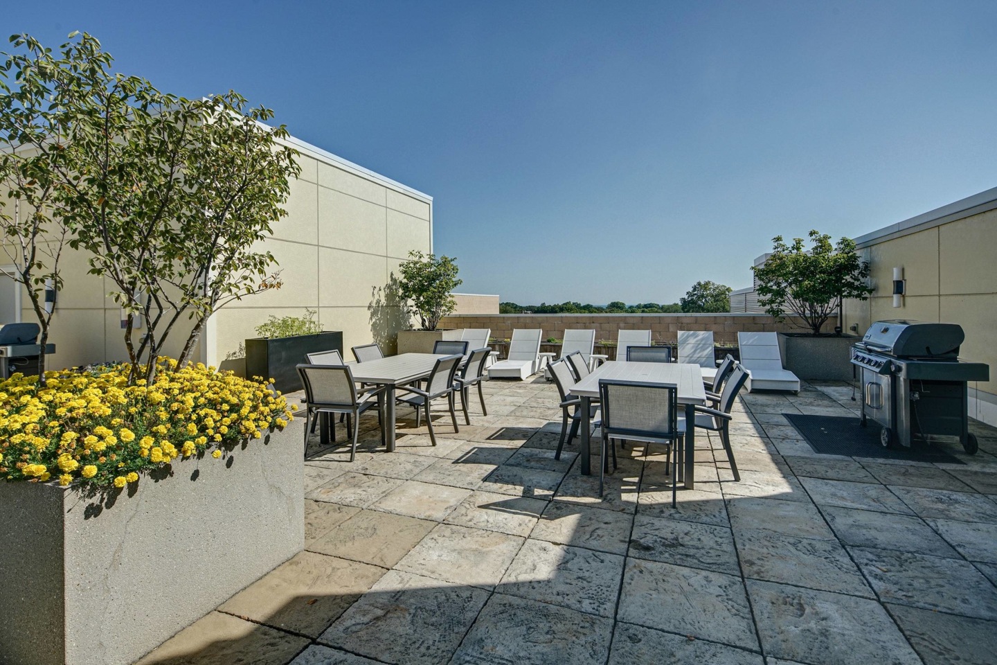 AMLI Evanston Image 9