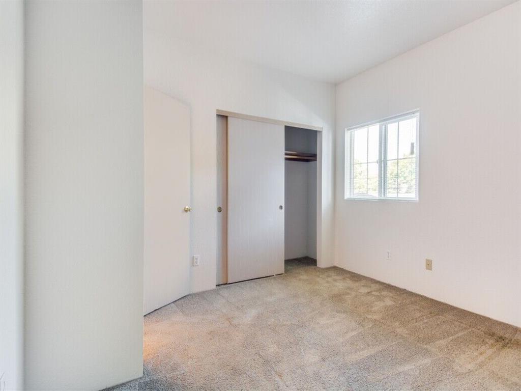 Chelsey Lane Image 41
