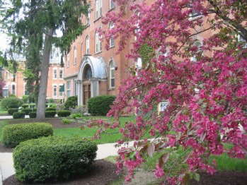 Skidmore Apartments Image 10