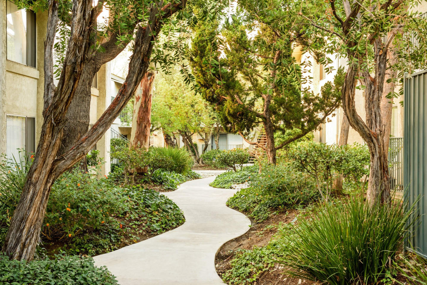Village Pointe Image 3