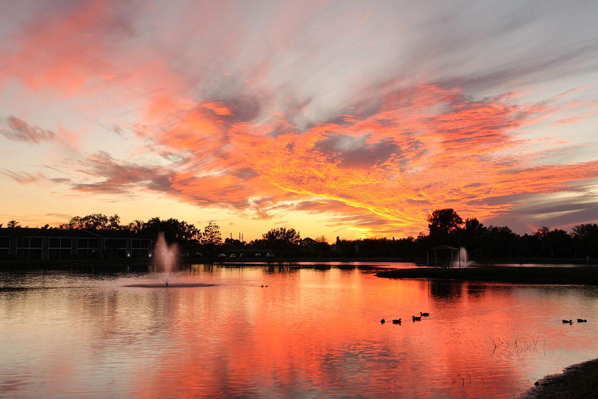 Fountain Lake Bradenton Image 60