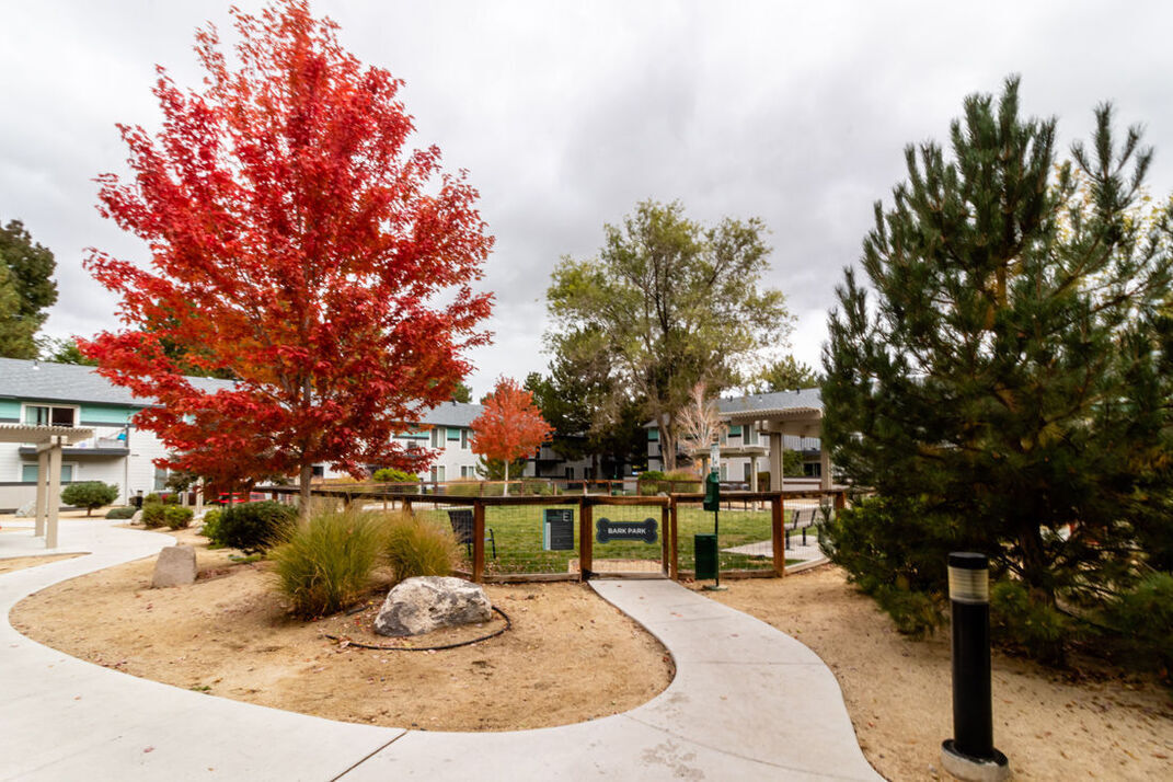 The Element Apartment Homes Image 17