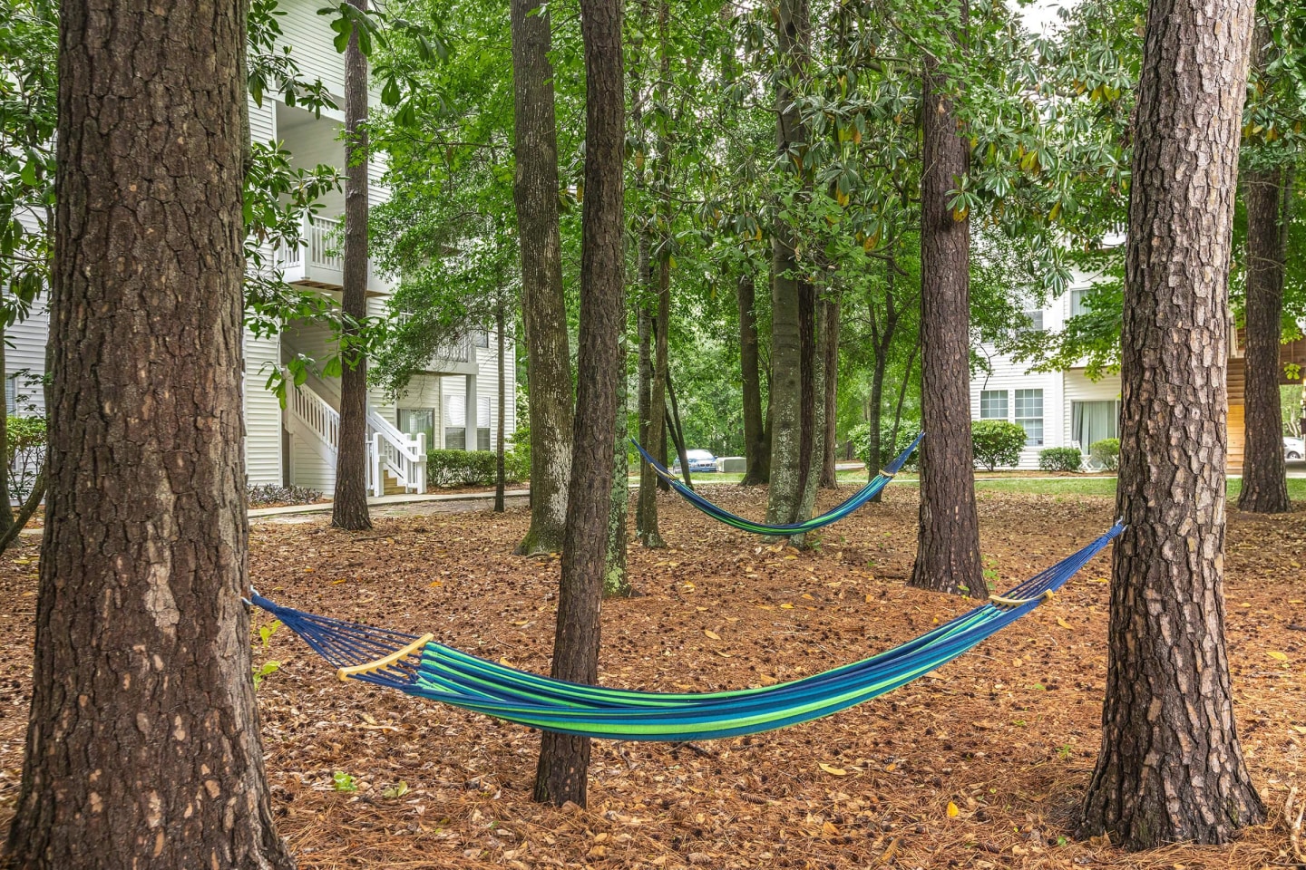 Birchwood Park Image 3