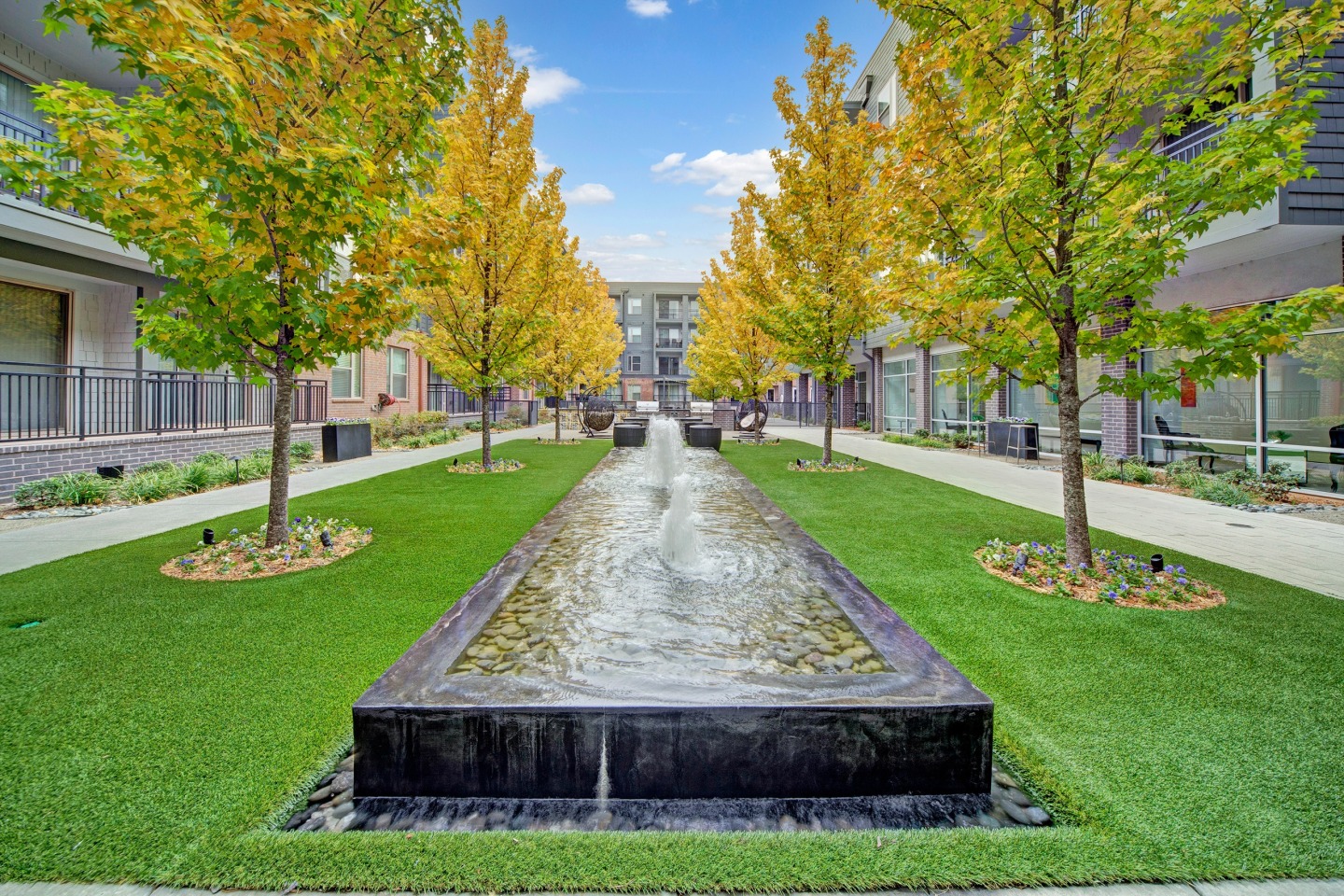 The Metropolitan Image 21