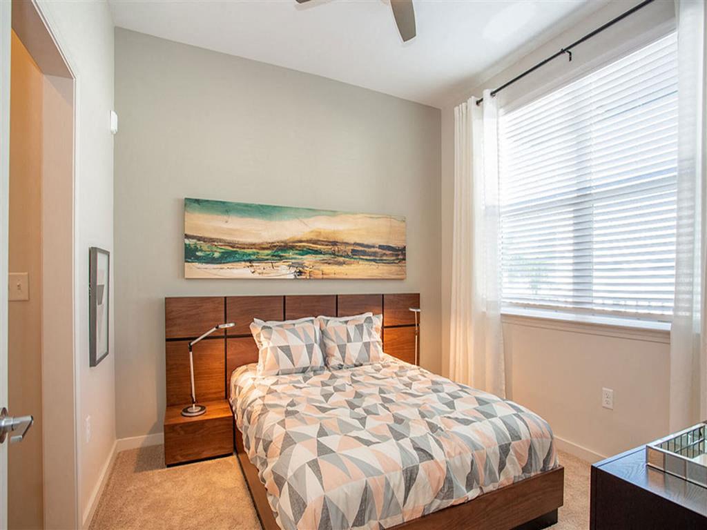 Icaria on Pinellas Image 10