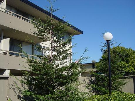 Montoya Garden Apartments Image 11