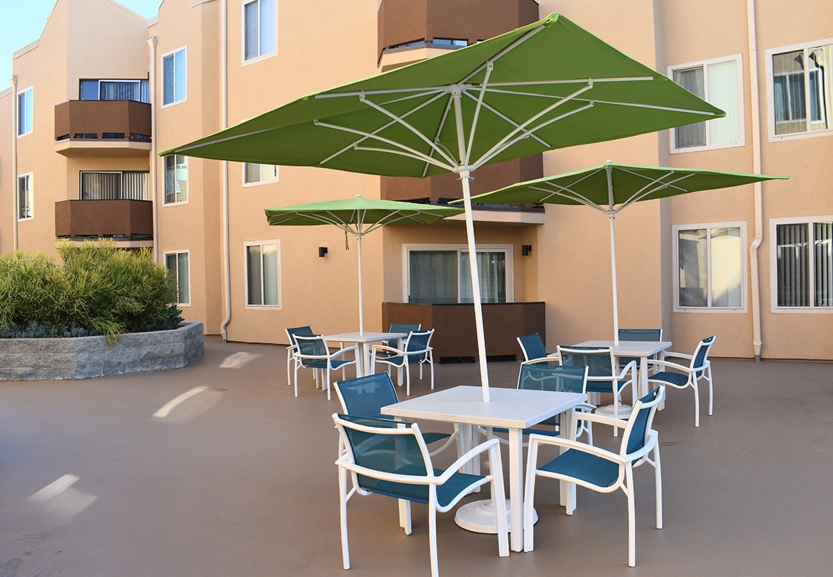 Encino Palms Image 6