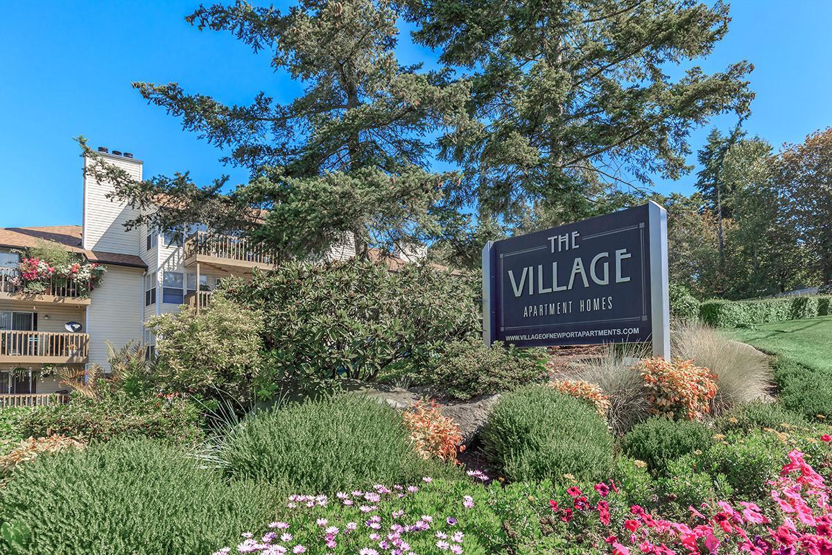 Village of Newport Image 1