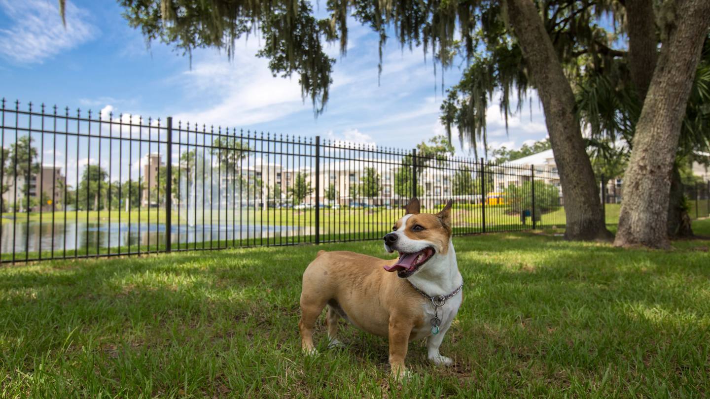 Preserve at Alafia Image 1