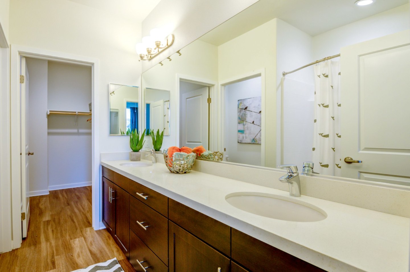 Encanto Image 6