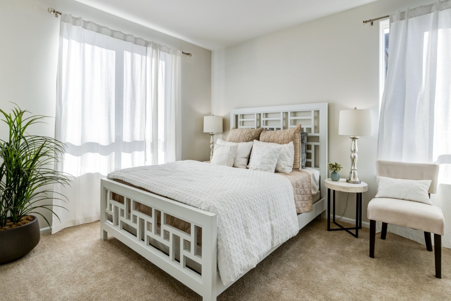 Apex Apartments Image 11