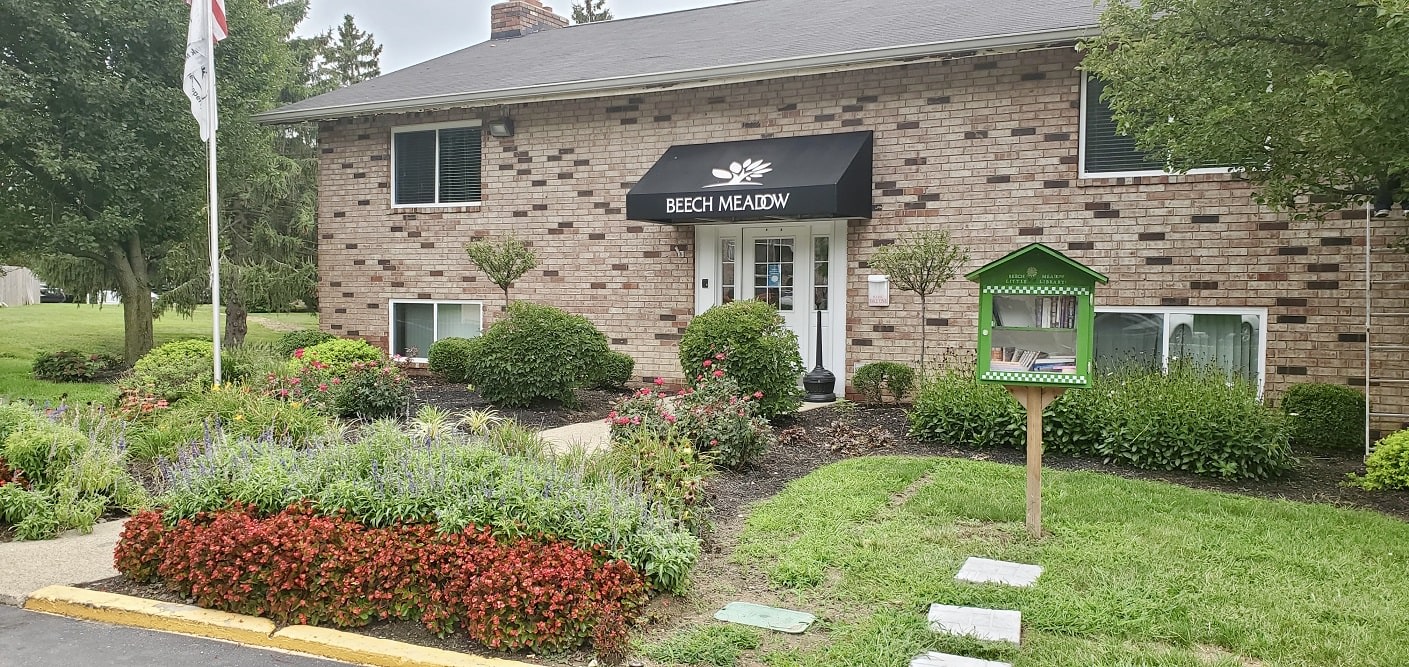 Beech Meadow Image 13