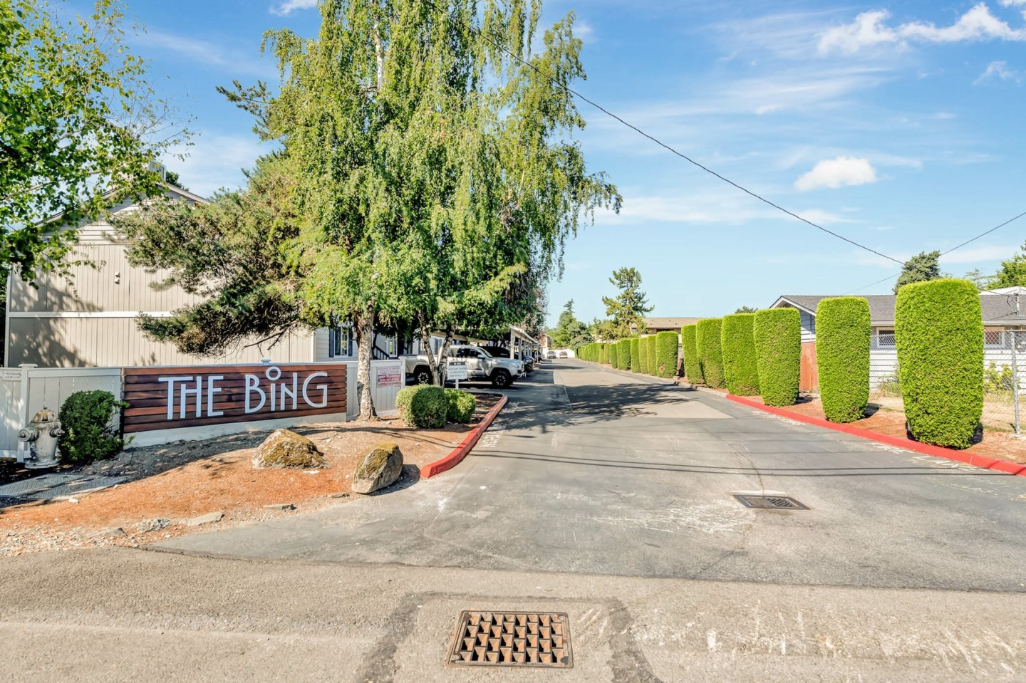 The Bing Image 12