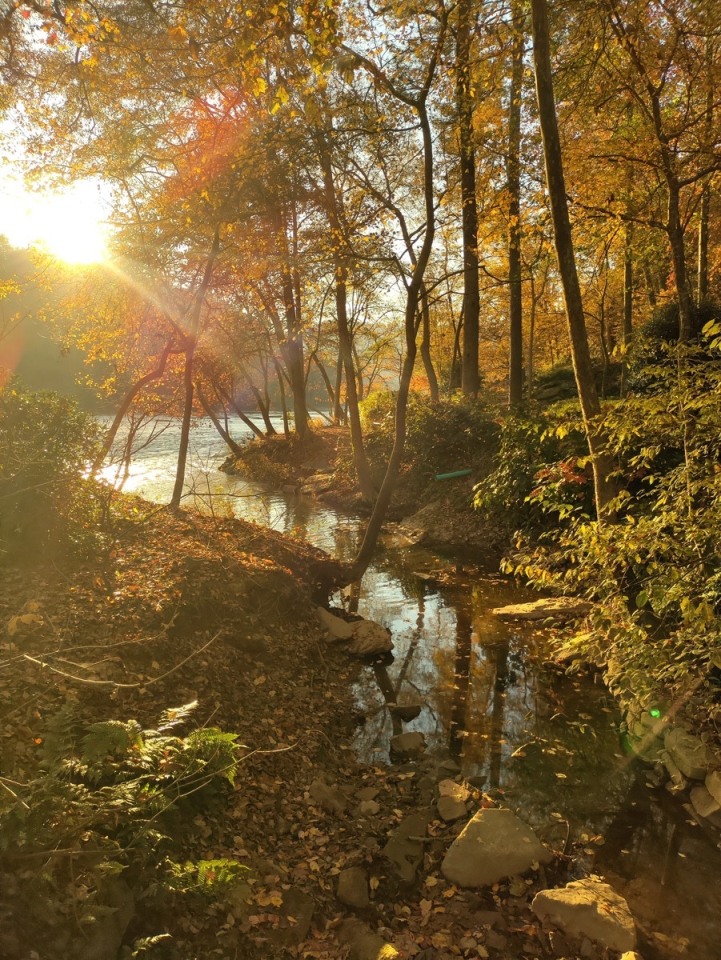 Walton on the Chattahoochee Image 62